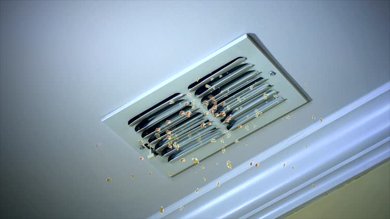 Best Affordable HVAC Duct Cleaning  in St Clair Shores, MI